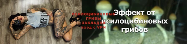 2c-b Куйбышев