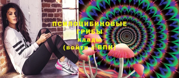 2c-b Куйбышев