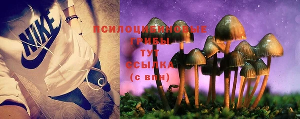 спиды Кулебаки
