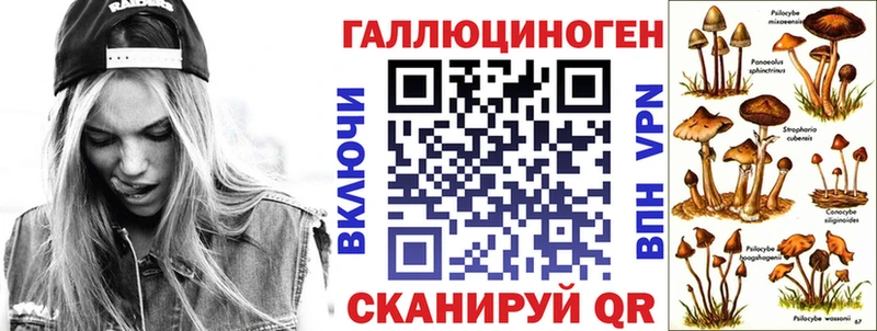 Купить  Асино  Псилоцибиновые грибы GOLDEN TEACHER 